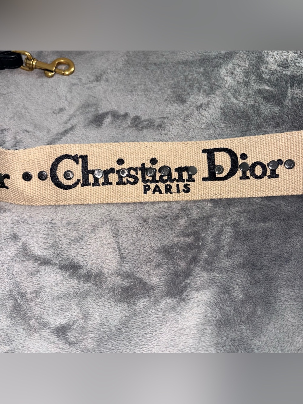 Dior Beige and Navy Embroidered Canvas Shoulder Strap with Gold Hardware - Picture 3 of 6